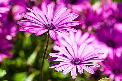 Paradox新模拟游戏《FOUNDRY》5＆2推出EA版